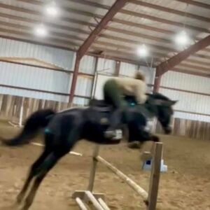 Meet your Posher, Meghan